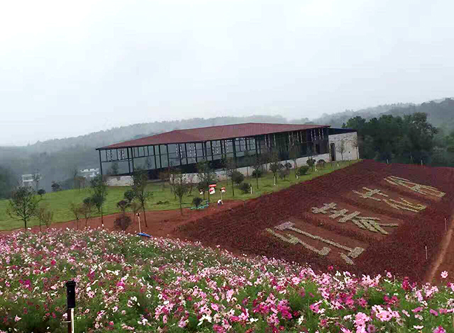 岳陽汨羅市西長四季花谷